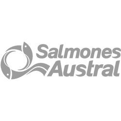 salmones austral